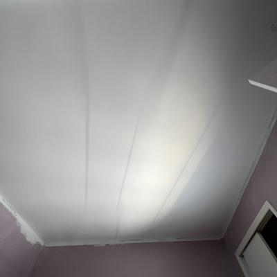 Ceiling repair