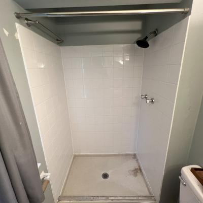 Img 1374